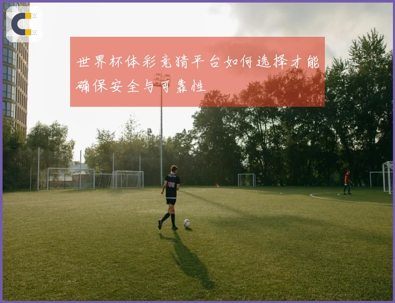 世界杯体彩竞猜平台如何选择才能确保安全与可靠性
