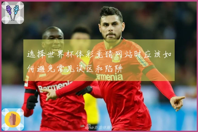 选择世界杯体彩竞猜网站时应该如何避免常见误区和陷阱
