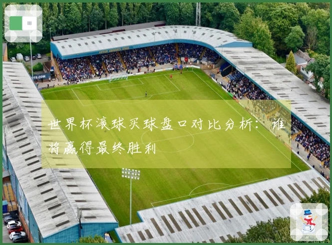 世界杯滚球买球盘口对比分析：谁将赢得最终胜利
