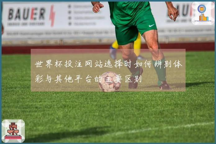 世界杯投注网站选择时如何辨别体彩与其他平台的主要区别