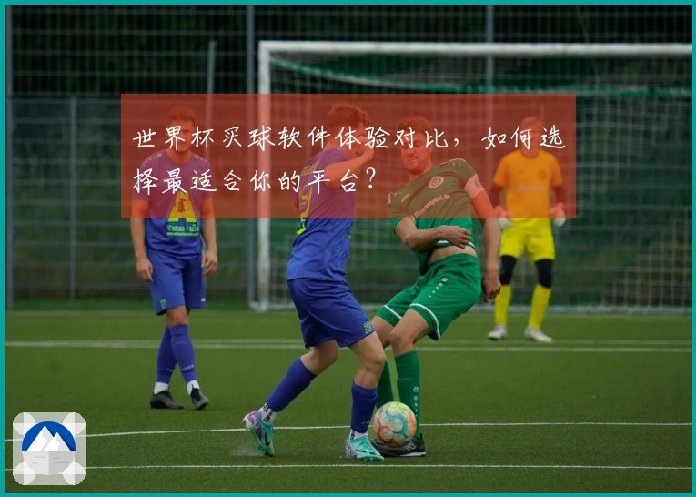 世界杯买球软件体验对比，如何选择最适合你的平台？