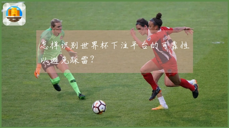 怎样识别世界杯下注平台的可靠性以避免踩雷？