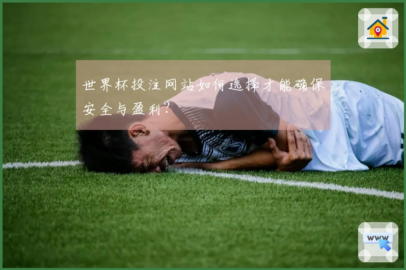 世界杯投注网站如何选择才能确保安全与盈利？