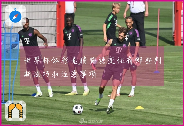 世界杯体彩竞猜临场变化有哪些判断技巧和注意事项