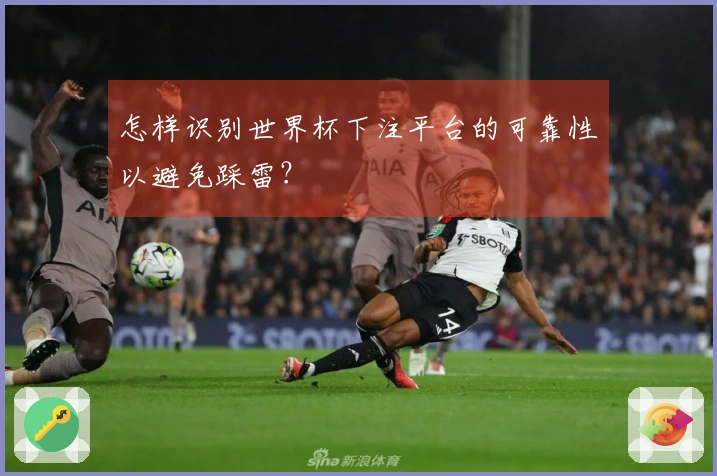 怎样识别世界杯下注平台的可靠性以避免踩雷？