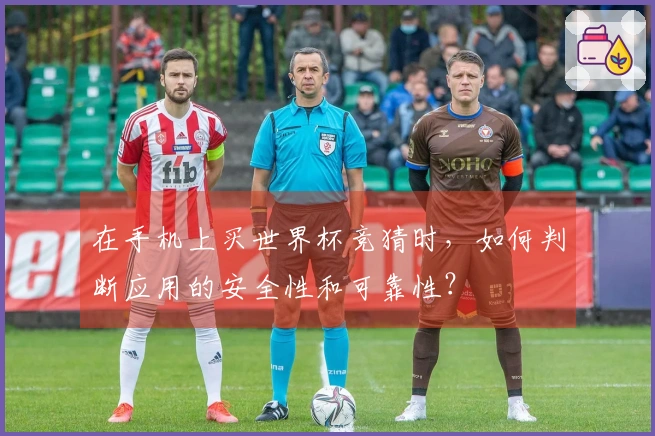在手机上买世界杯竞猜时，如何判断应用的安全性和可靠性？