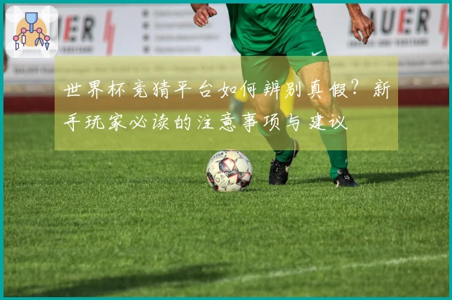 世界杯竞猜平台如何辨别真假？新手玩家必读的注意事项与建议
