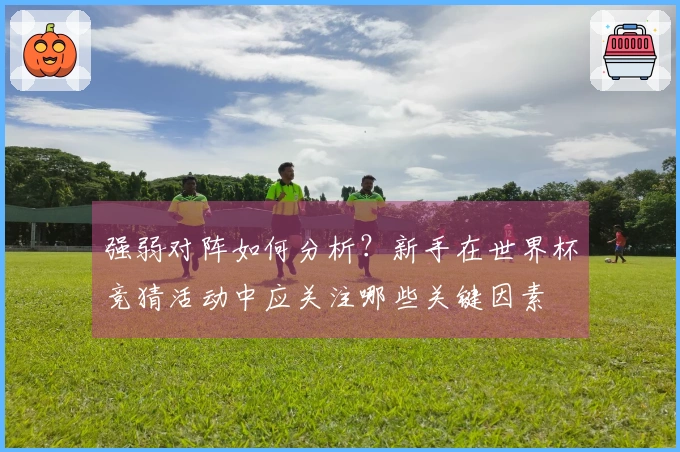 强弱对阵如何分析？新手在世界杯竞猜活动中应关注哪些关键因素