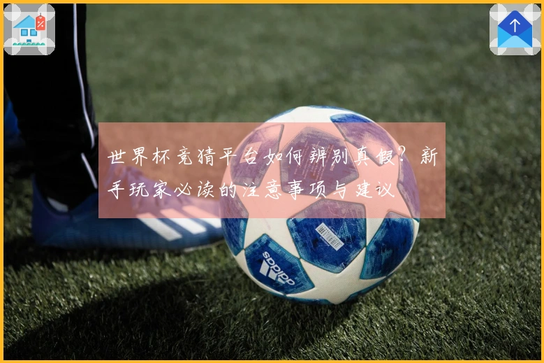 世界杯竞猜平台如何辨别真假？新手玩家必读的注意事项与建议