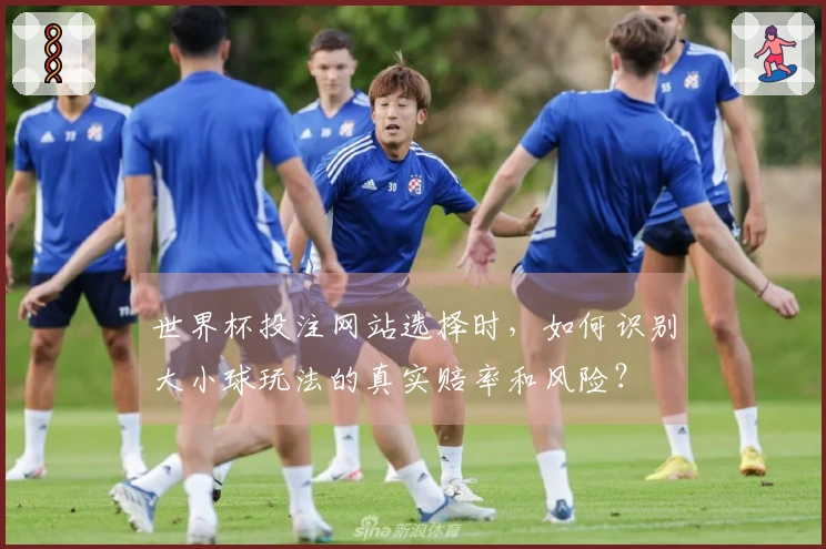 世界杯投注网站选择时，如何识别大小球玩法的真实赔率和风险？
