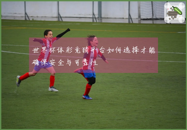 世界杯体彩竞猜平台如何选择才能确保安全与可靠性